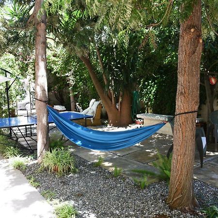 B&B Al Vecchio Glicine Torre Canne Eksteriør bilde